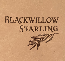 Black Willow Starling